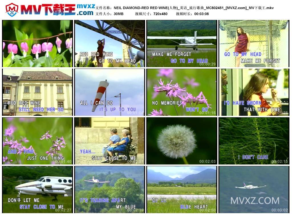 NEIL DIAMOND-RED RED WINE(人物)_英语_流行歌曲_MC802451